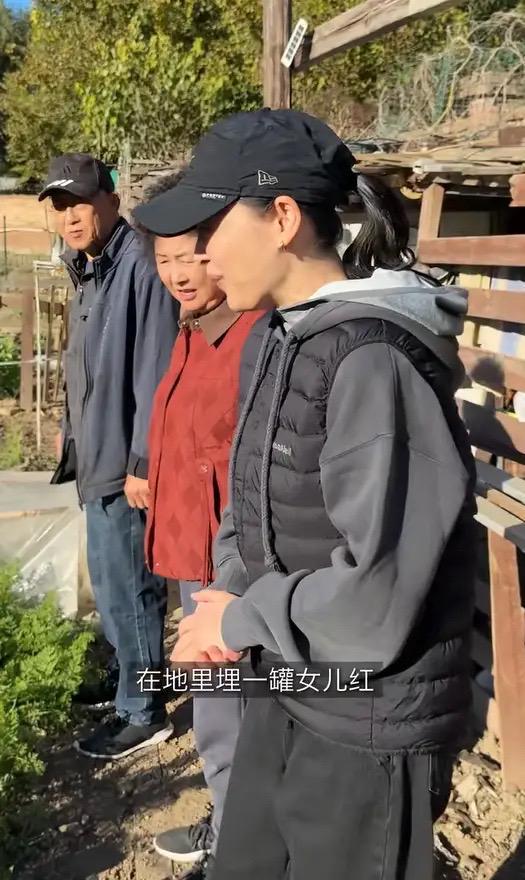 婆包地种菜穿旧衣像村里人给孙女备嫁妆开元棋牌app梅婷晒北京2层别墅公