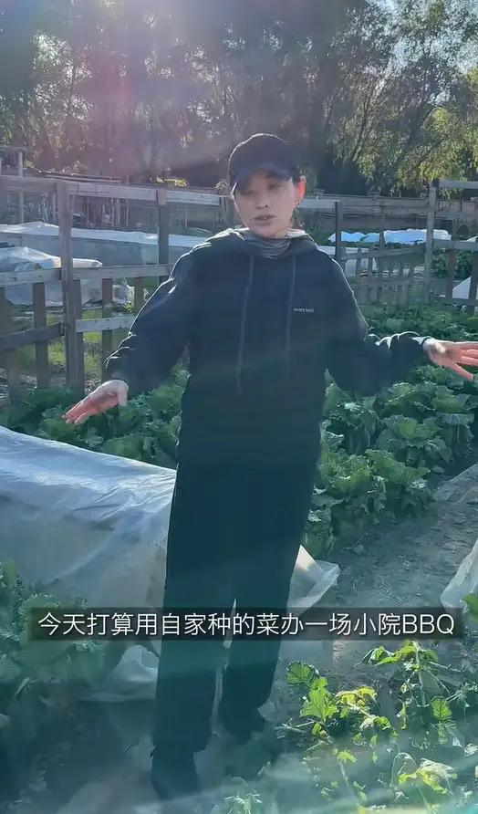 婆包地种菜穿旧衣像村里人给孙女备嫁妆开元棋牌app梅婷晒北京2层别墅公(图8)