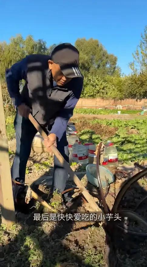 婆包地种菜穿旧衣像村里人给孙女备嫁妆开元棋牌app梅婷晒北京2层别墅公(图15)